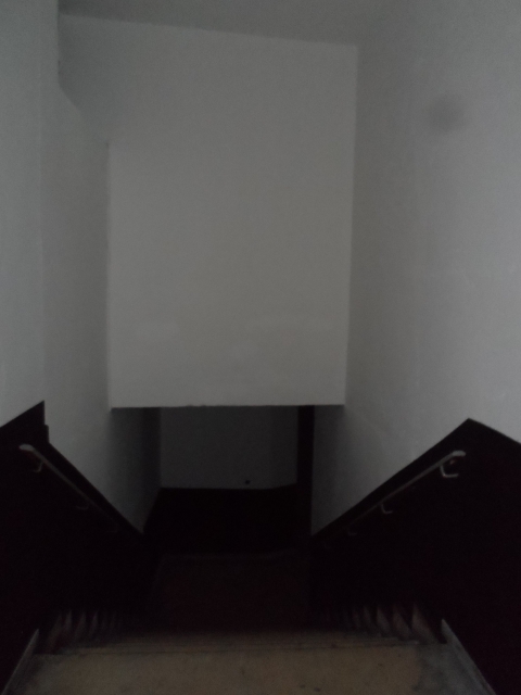 pintura-plastica-mate-blanco-y-negro